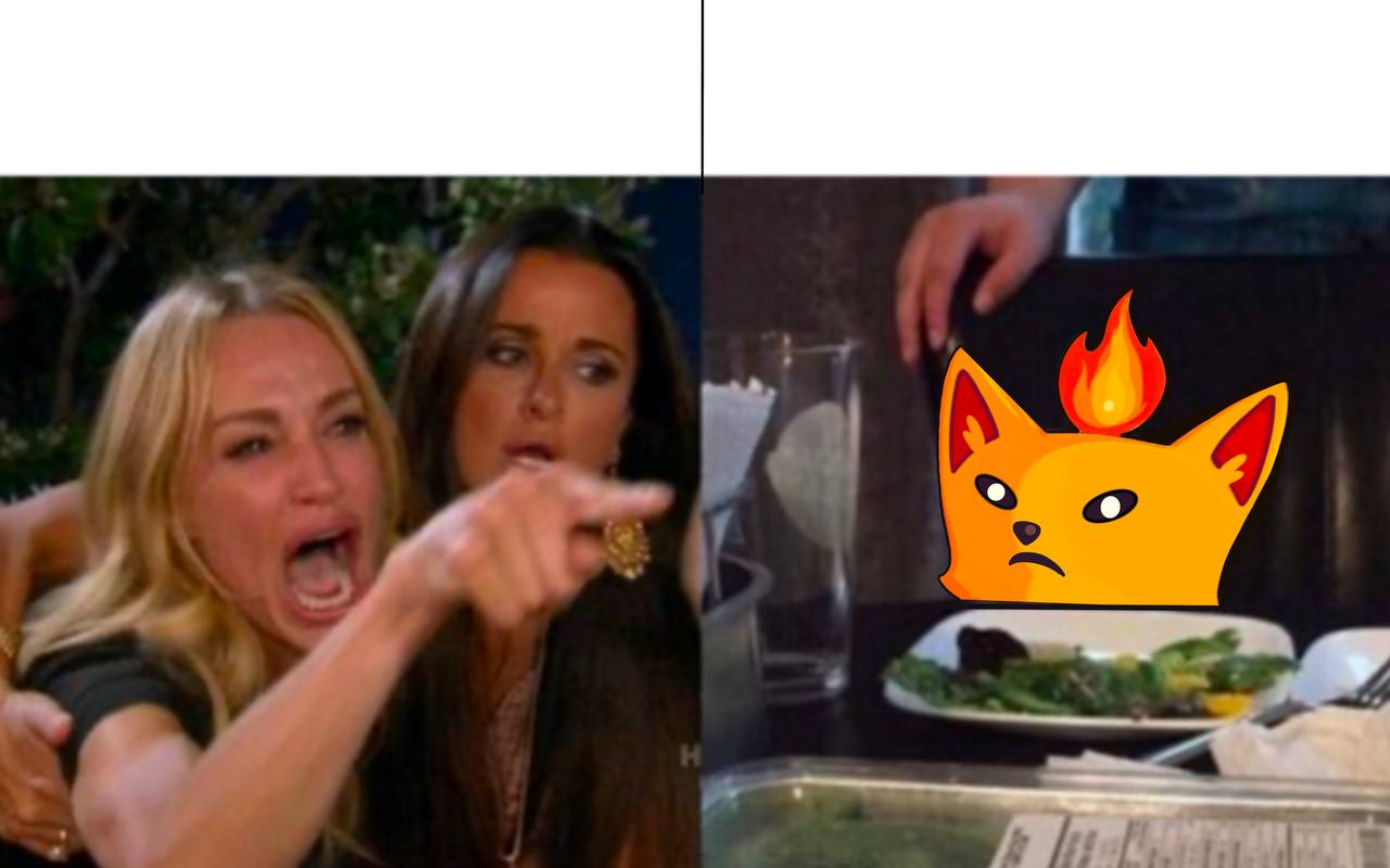 Woman Yelling at Cat
